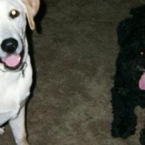 Meet your Posher, Marianne